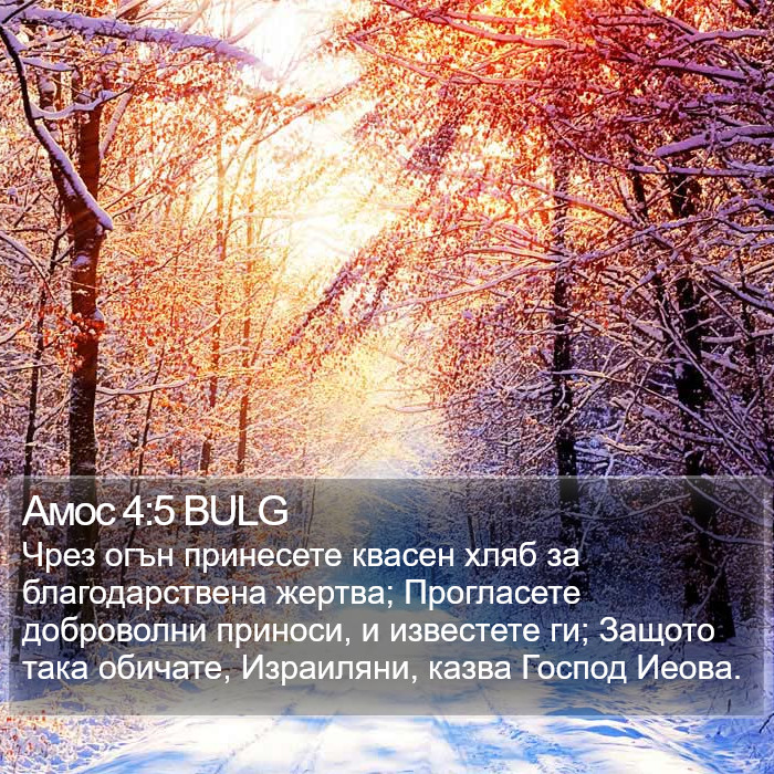 Амос 4:5 BULG Bible Study