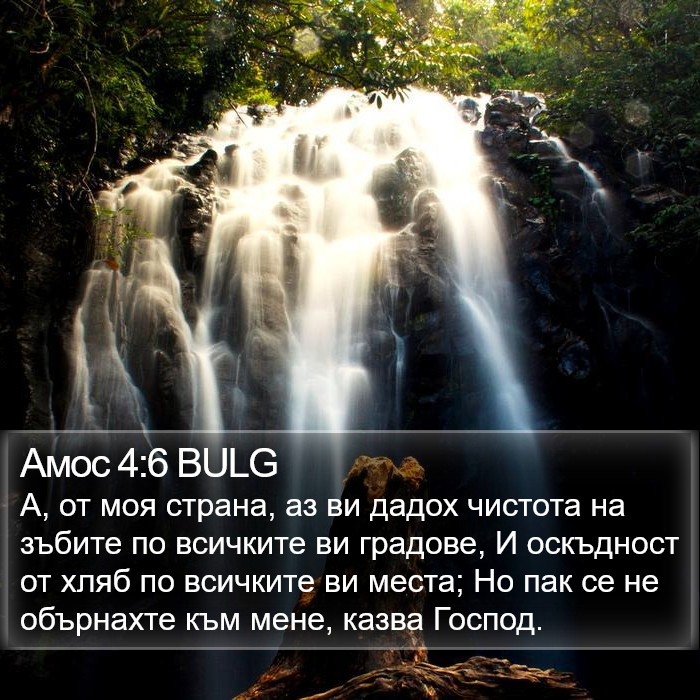 Амос 4:6 BULG Bible Study