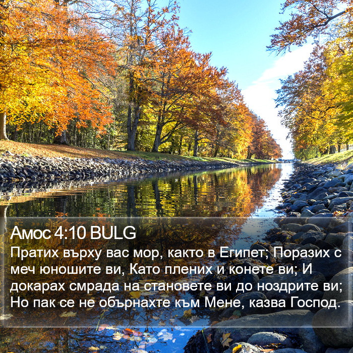 Амос 4:10 BULG Bible Study