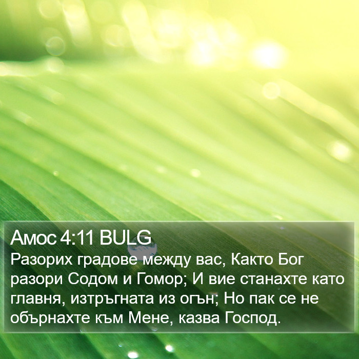 Амос 4:11 BULG Bible Study