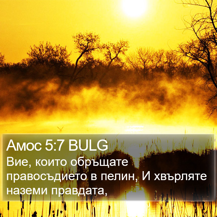 Амос 5:7 BULG Bible Study