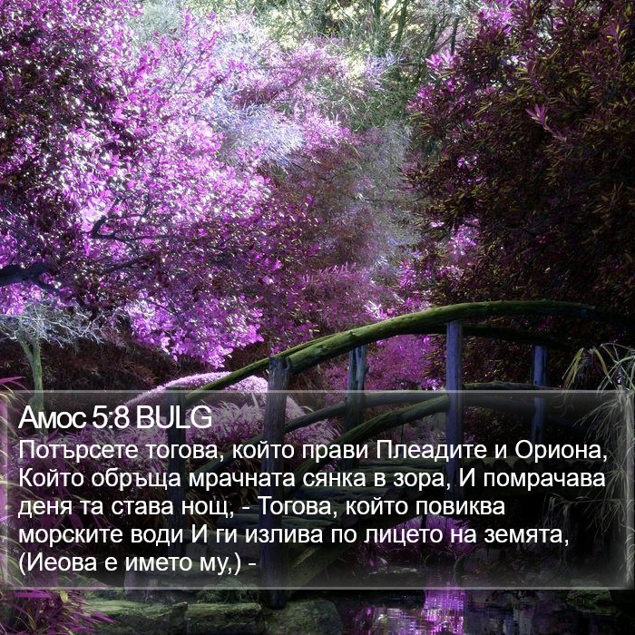 Амос 5:8 BULG Bible Study