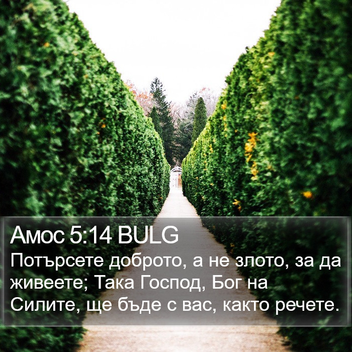 Амос 5:14 BULG Bible Study