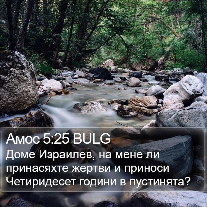 Амос 5:25 BULG Bible Study