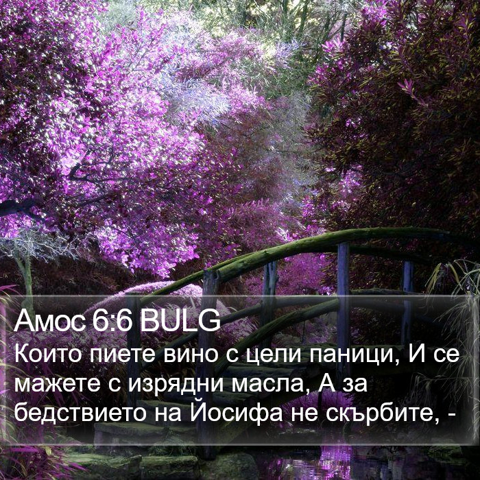 Амос 6:6 BULG Bible Study