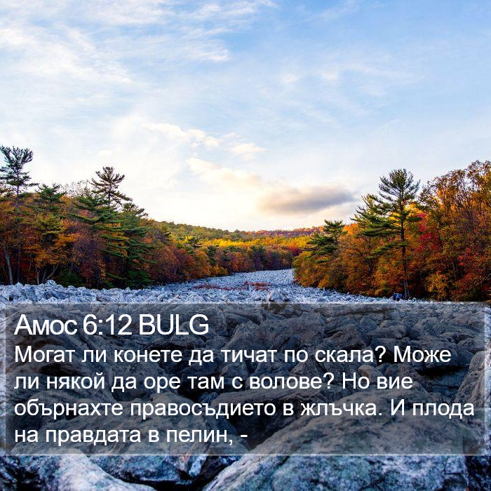 Амос 6:12 BULG Bible Study