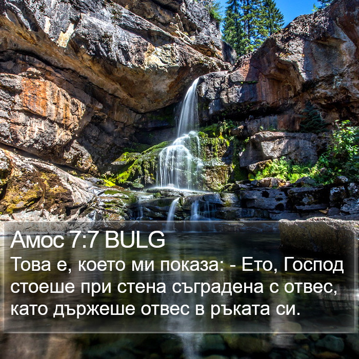 Амос 7:7 BULG Bible Study