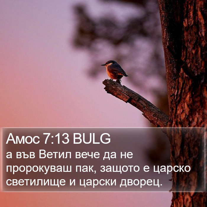 Амос 7:13 BULG Bible Study