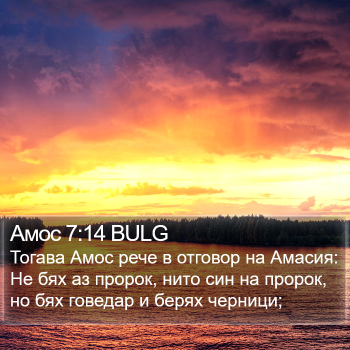 Амос 7:14 BULG Bible Study