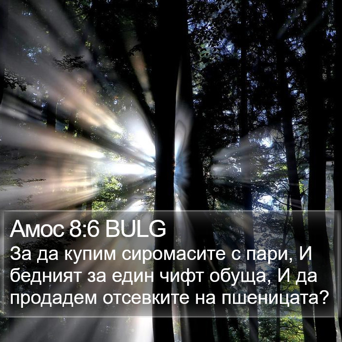 Амос 8:6 BULG Bible Study