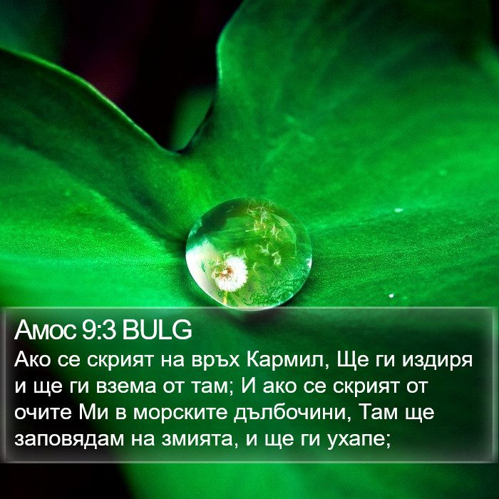 Амос 9:3 BULG Bible Study