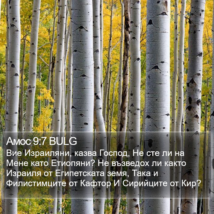 Амос 9:7 BULG Bible Study