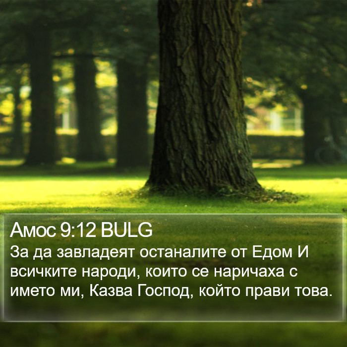 Амос 9:12 BULG Bible Study