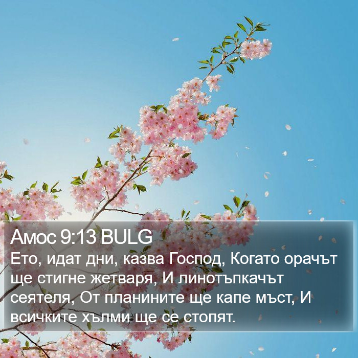 Амос 9:13 BULG Bible Study