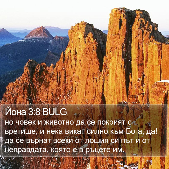 Йона 3:8 BULG Bible Study