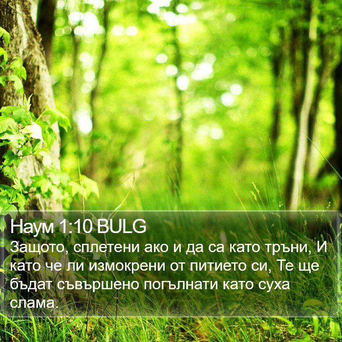 Наум 1:10 BULG Bible Study