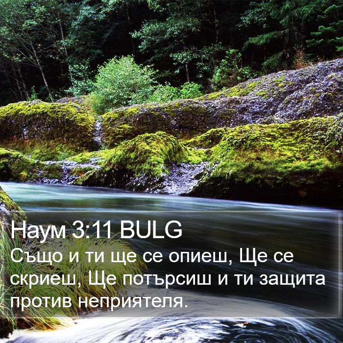 Наум 3:11 BULG Bible Study