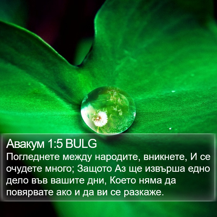 Авакум 1:5 BULG Bible Study