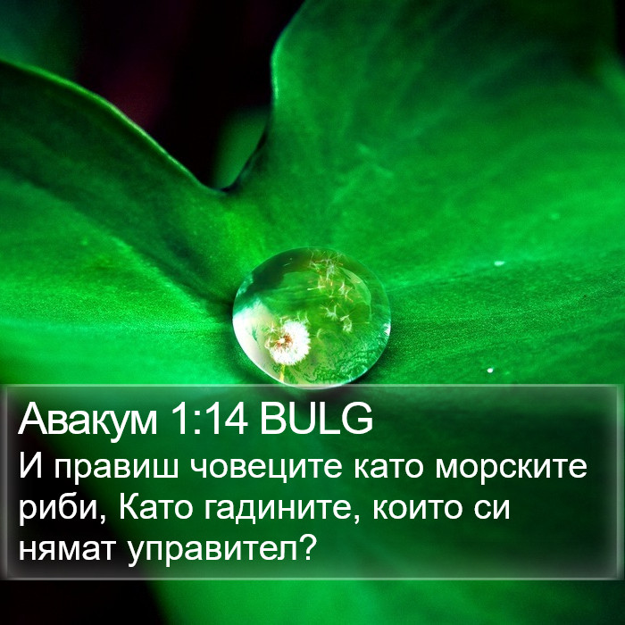 Авакум 1:14 BULG Bible Study