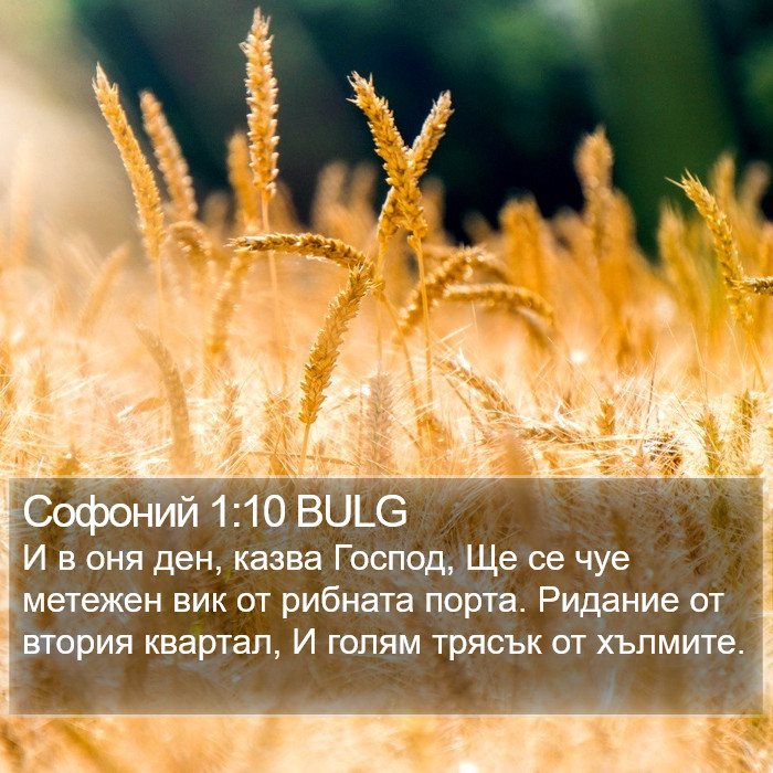 Софоний 1:10 BULG Bible Study