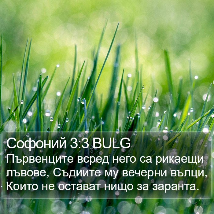 Софоний 3:3 BULG Bible Study