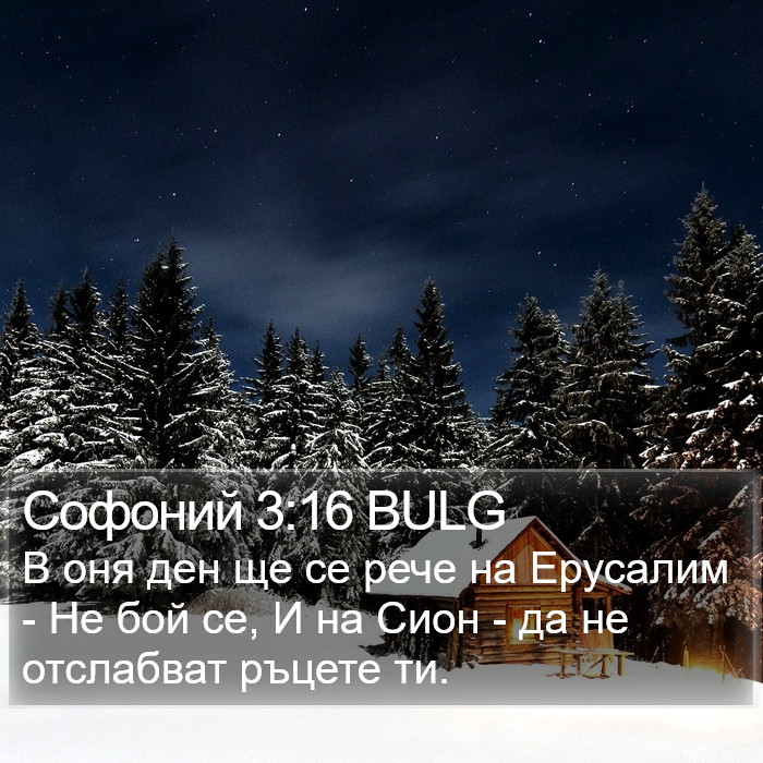 Софоний 3:16 BULG Bible Study