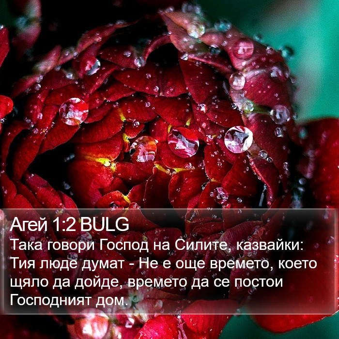 Агей 1:2 BULG Bible Study