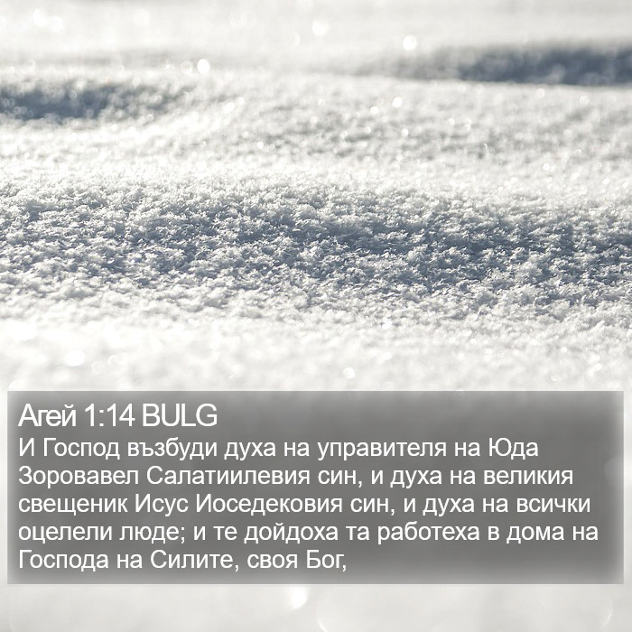 Агей 1:14 BULG Bible Study