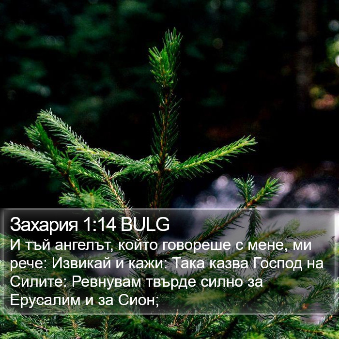 Захария 1:14 BULG Bible Study