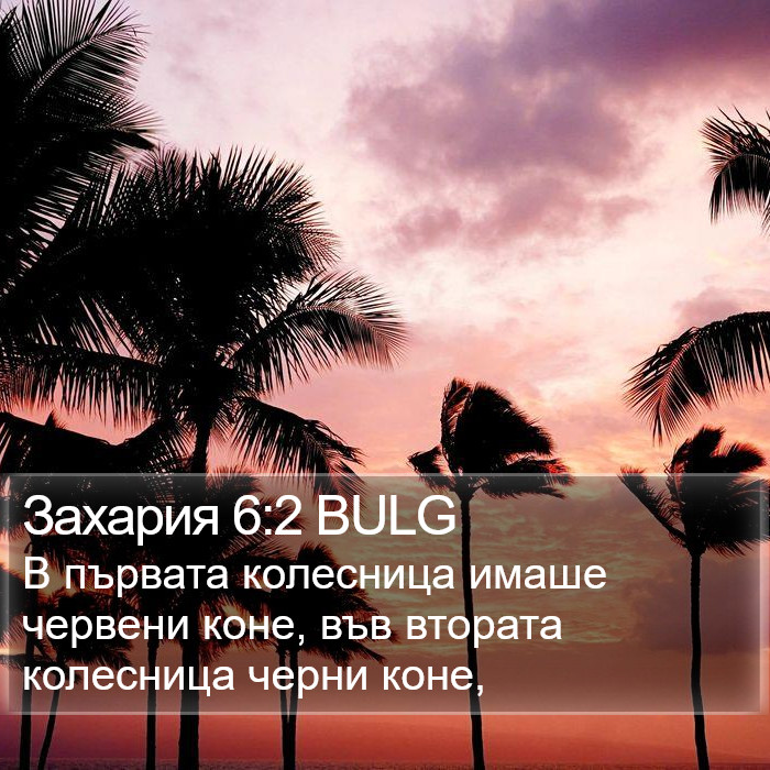 Захария 6:2 BULG Bible Study