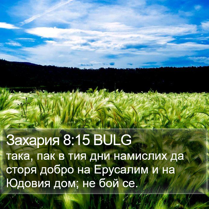 Захария 8:15 BULG Bible Study