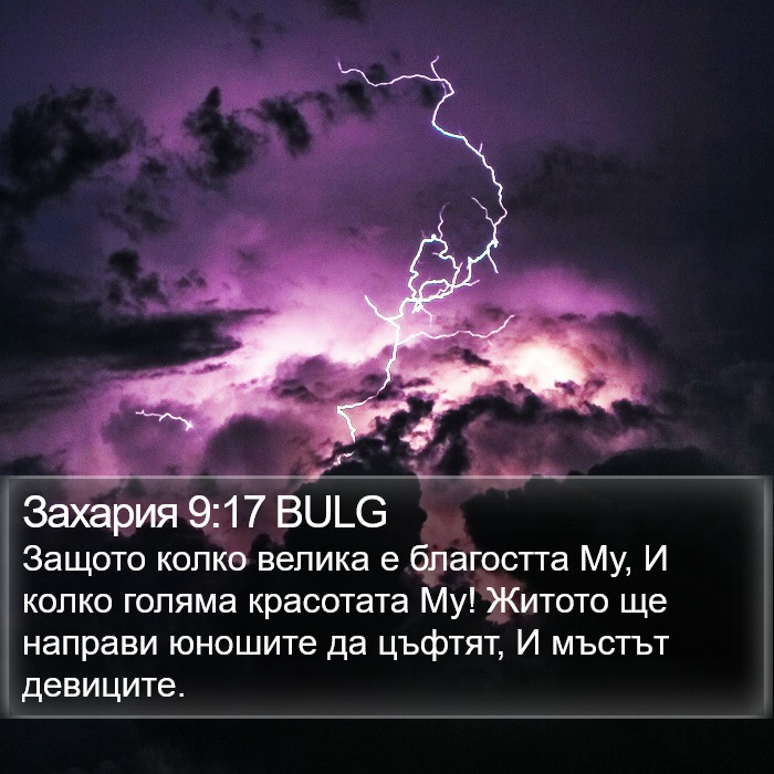 Захария 9:17 BULG Bible Study