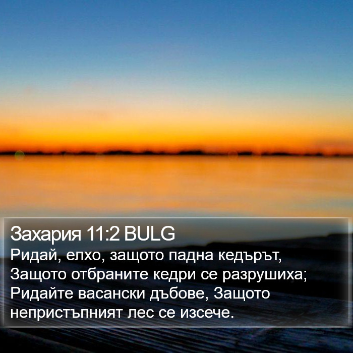 Захария 11:2 BULG Bible Study