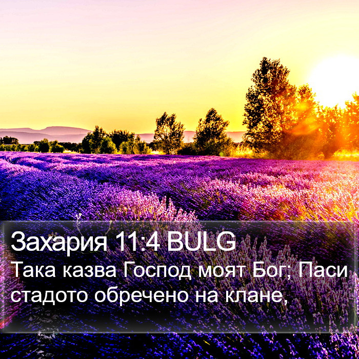 Захария 11:4 BULG Bible Study