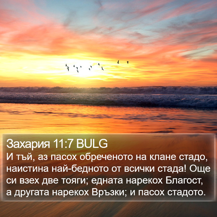 Захария 11:7 BULG Bible Study