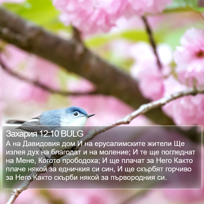 Захария 12:10 BULG Bible Study