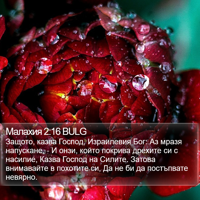Малахия 2:16 BULG Bible Study
