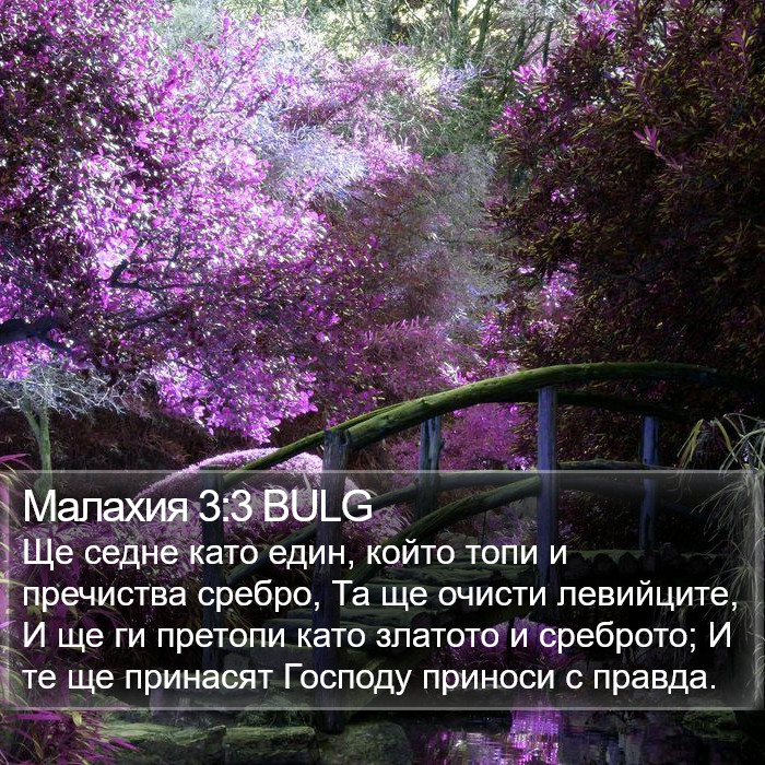 Малахия 3:3 BULG Bible Study