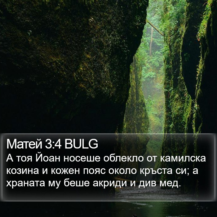 Матей 3:4 BULG Bible Study