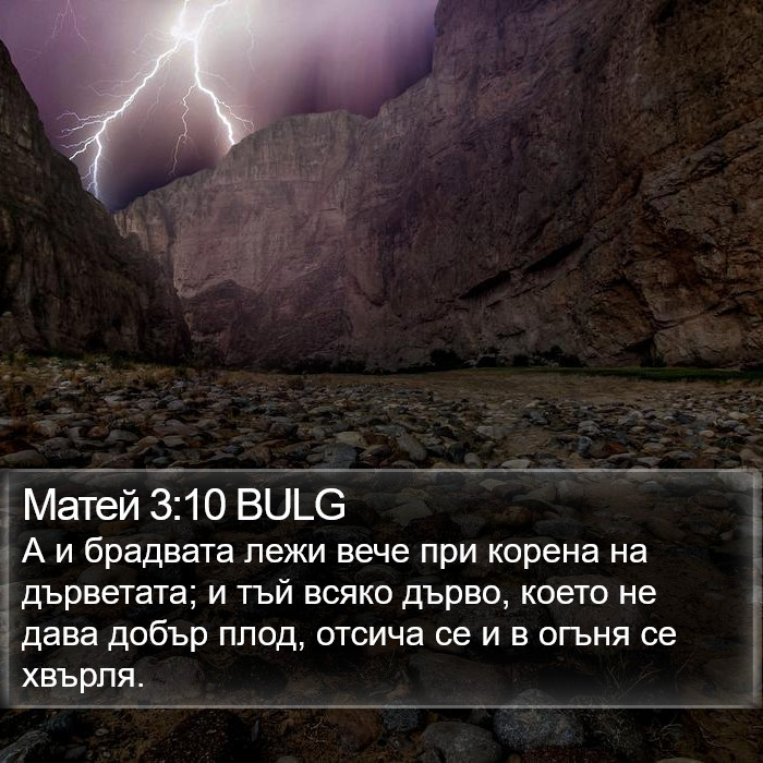 Матей 3:10 BULG Bible Study
