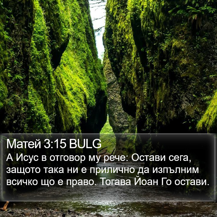 Матей 3:15 BULG Bible Study