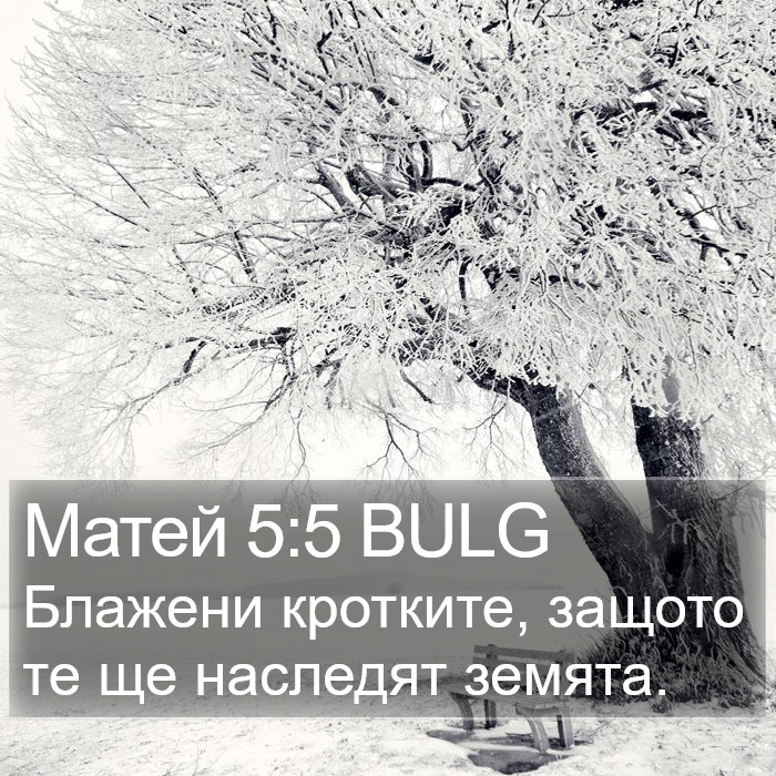 Матей 5:5 BULG Bible Study