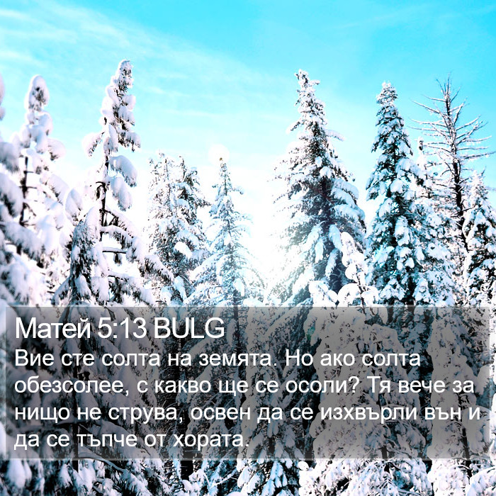 Матей 5:13 BULG Bible Study