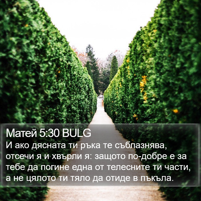Матей 5:30 BULG Bible Study