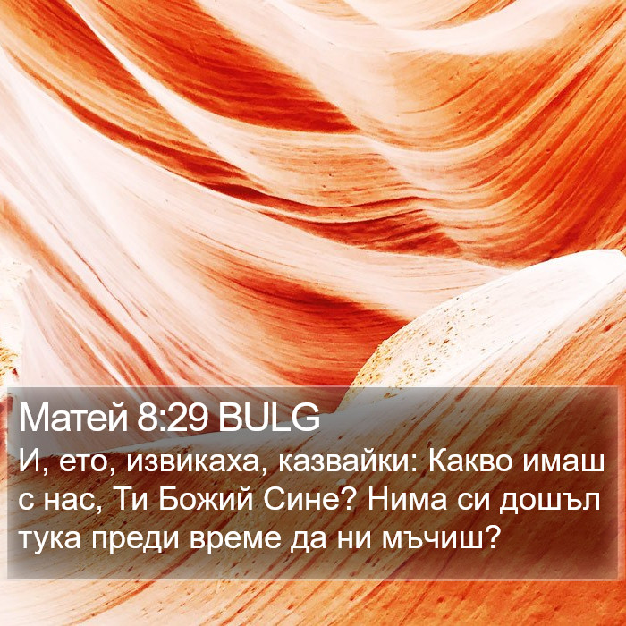 Матей 8:29 BULG Bible Study