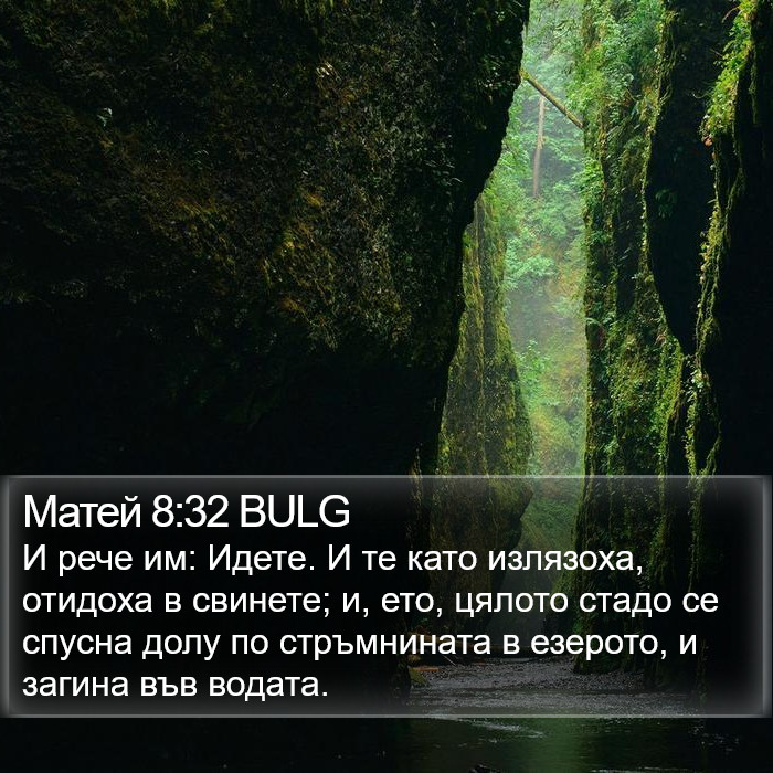 Матей 8:32 BULG Bible Study