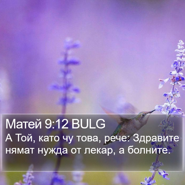 Матей 9:12 BULG Bible Study