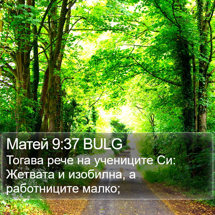 Матей 9:37 BULG Bible Study