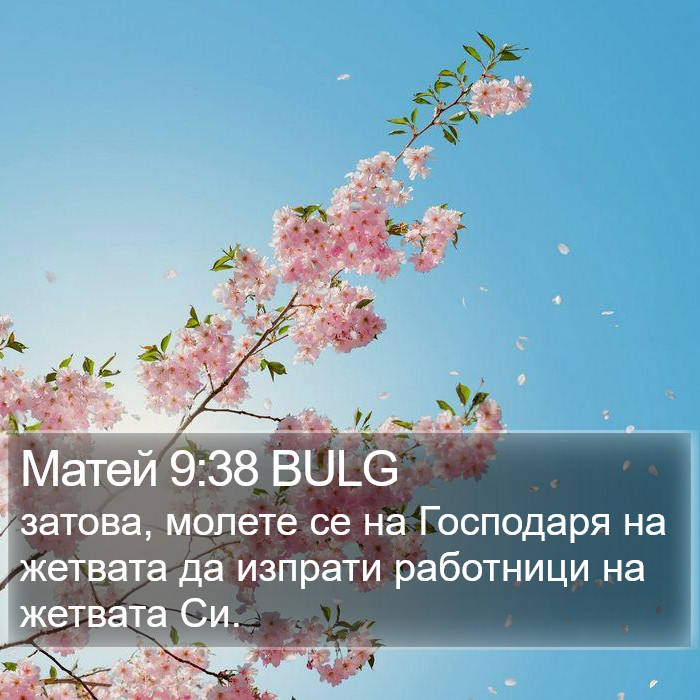 Матей 9:38 BULG Bible Study