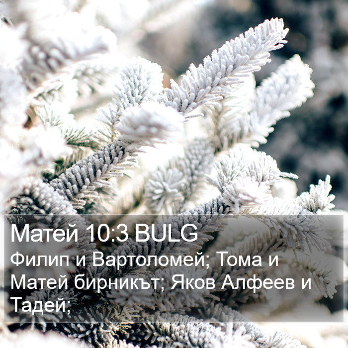 Матей 10:3 BULG Bible Study